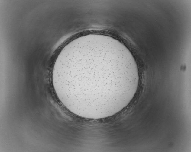 X0000113151208200910021455