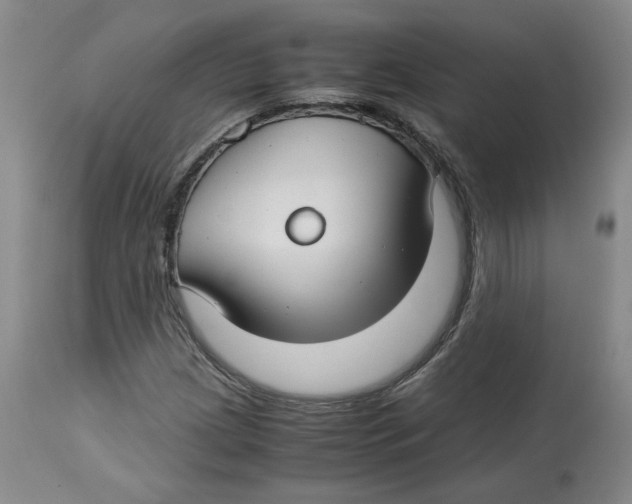 X0000113151209200910021455