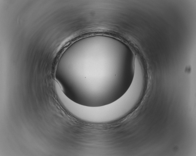 X0000113151210200910021455