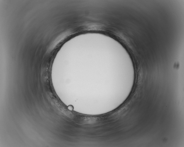 X0000113151211200910021455