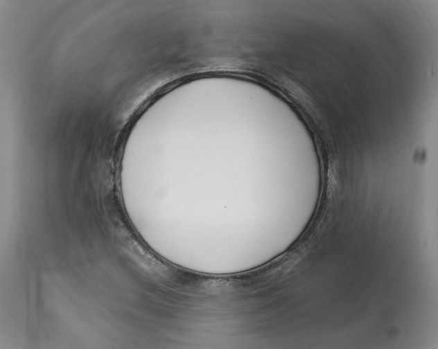 X0000113151212200910021455