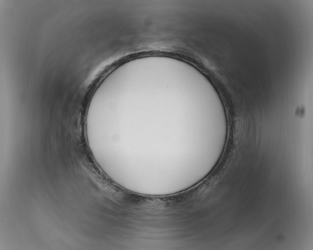 X0000113151214200910021455