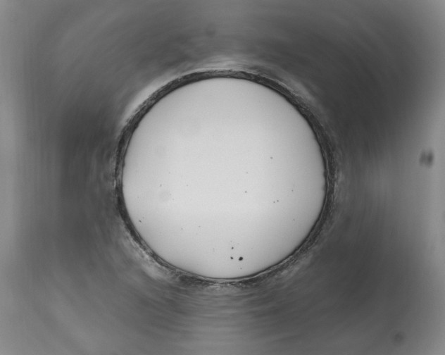 X0000113151216200910021455