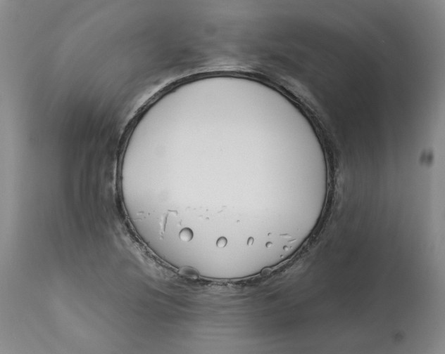 X0000113151220200910021455