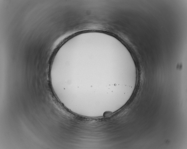 X0000113151222200910021455