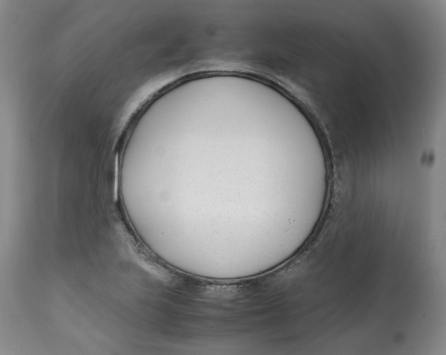 X0000113151223200910021455