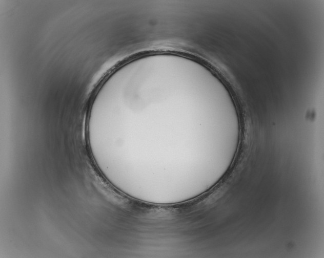 X0000113151224200910021455