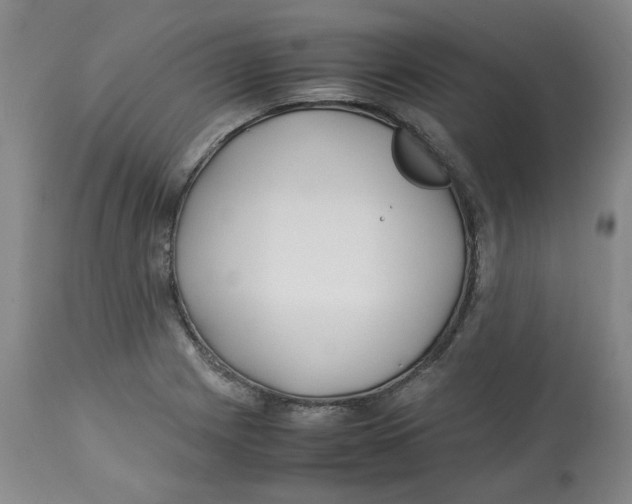 X0000113151225200910021455