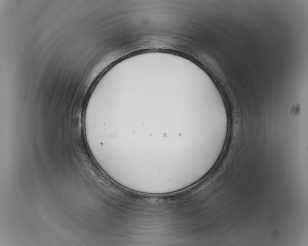 X0000113151226200910021455