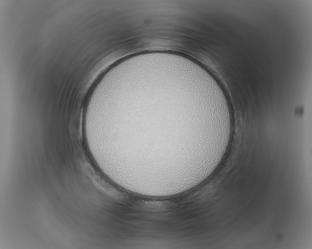 X0000113151227200910021455