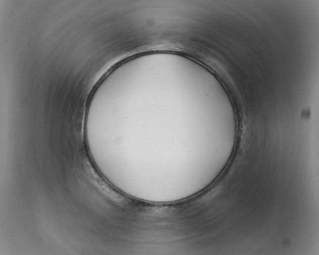 X0000113151228200910021455