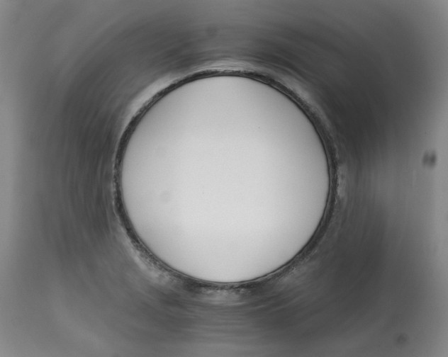 X0000113151229200910021455