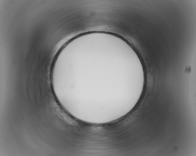 X0000113151230200910021455