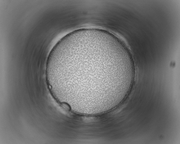 X0000113151231200910021455