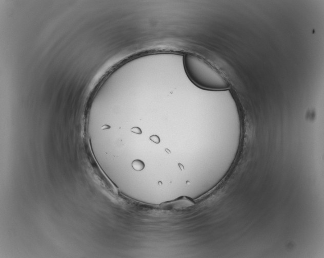 X0000113151232200910021455