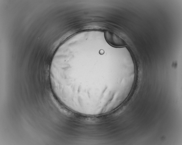 X0000113151233200910021455