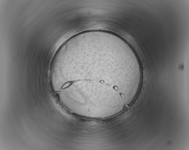 X0000113151234200910021455