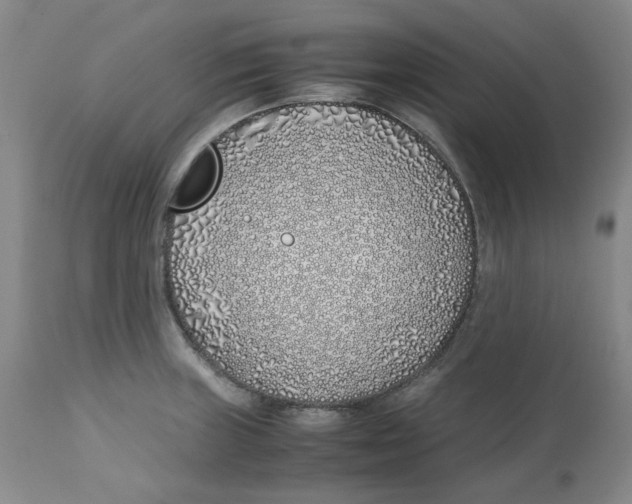 X0000113151235200910021455