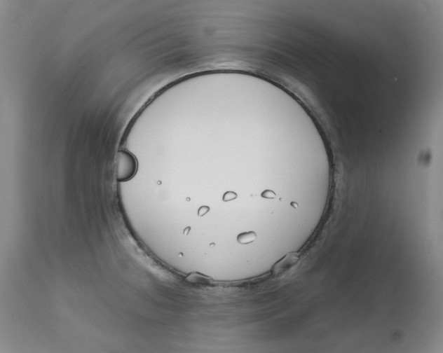 X0000113151236200910021455