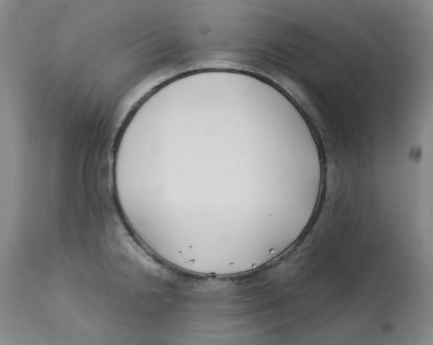 X0000113151238200910021455