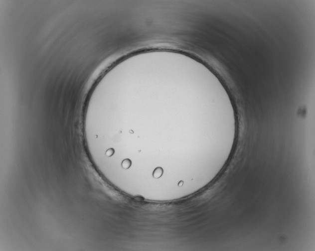 X0000113151240200910021455