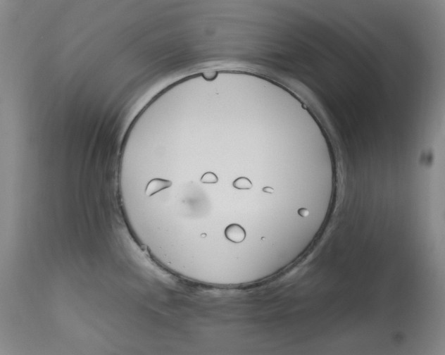 X0000113151244200910021455