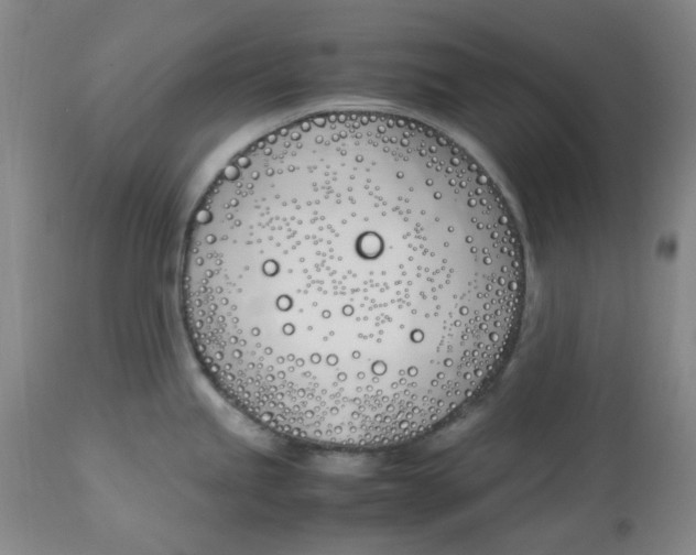 X0000113151245200910021455