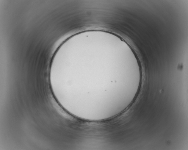 X0000113151246200910021455