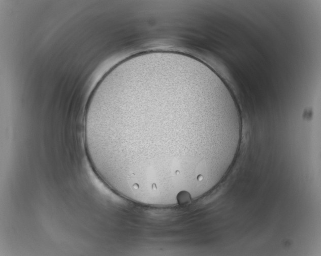 X0000113151247200910021455