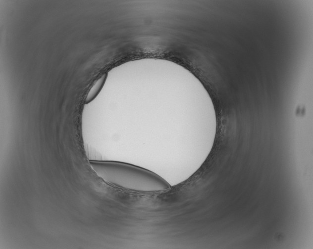 X0000113151249200910021454