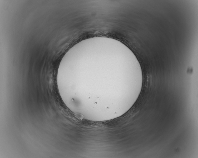 X0000113151250200910021454