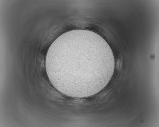 X0000113151251200910021454