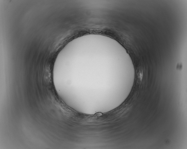 X0000113151252200910021454