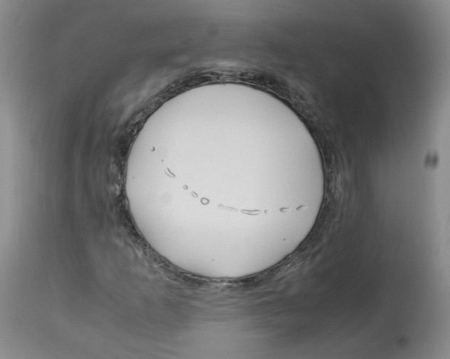 X0000113151253200910021454