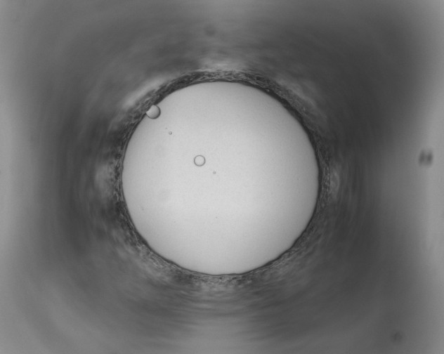 X0000113151254200910021454