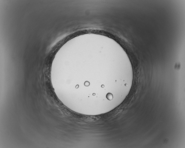 X0000113151255200910021454