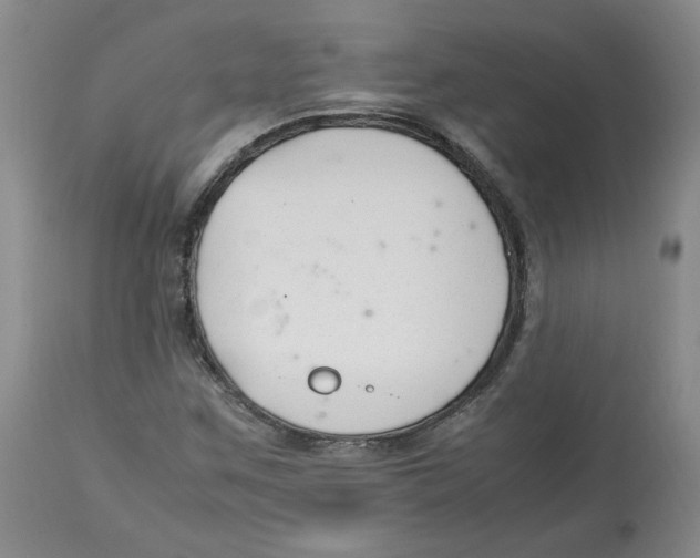 X0000113151259200910021454