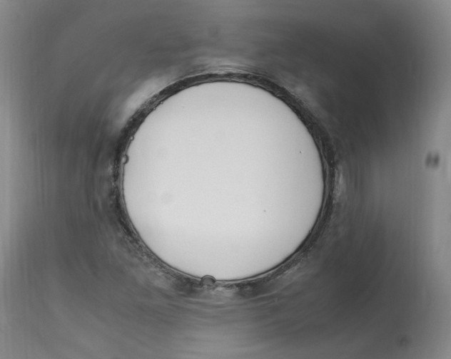 X0000113151261200910021454