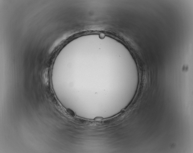 X0000113151262200910021454