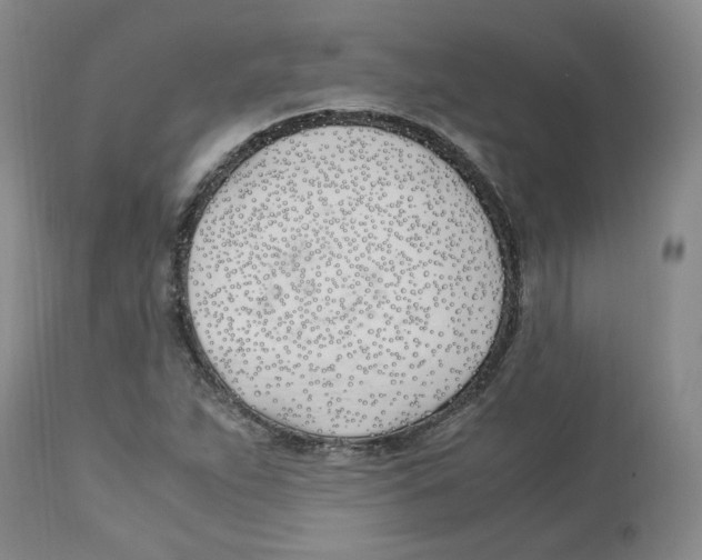 X0000113151263200910021454