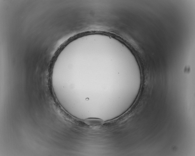 X0000113151264200910021454