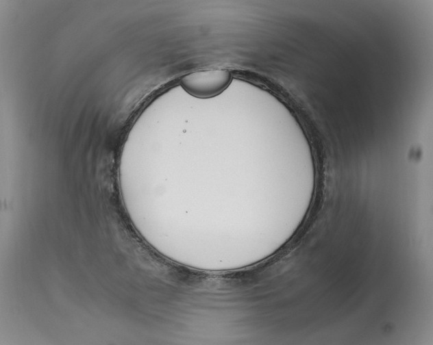 X0000113151265200910021454