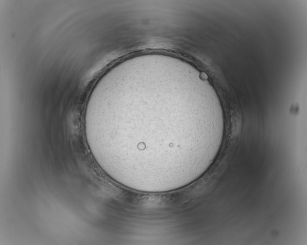 X0000113151266200910021454