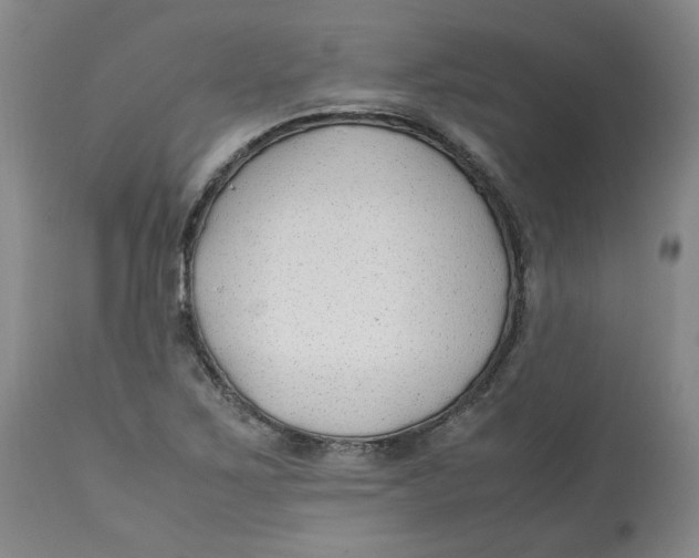 X0000113151267200910021454