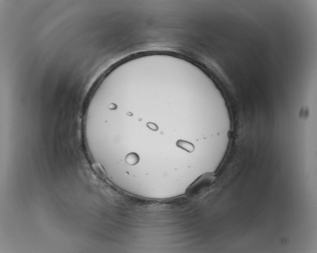 X0000113151268200910021454