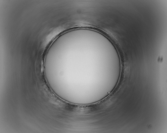 X0000113151269200910021454