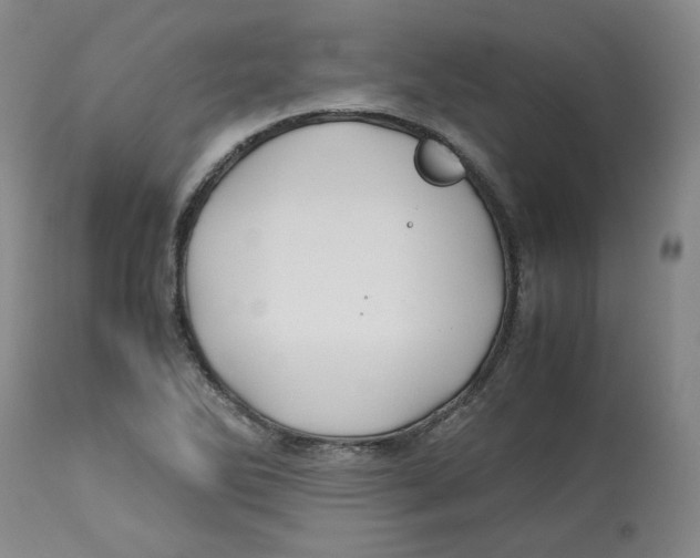 X0000113151270200910021454