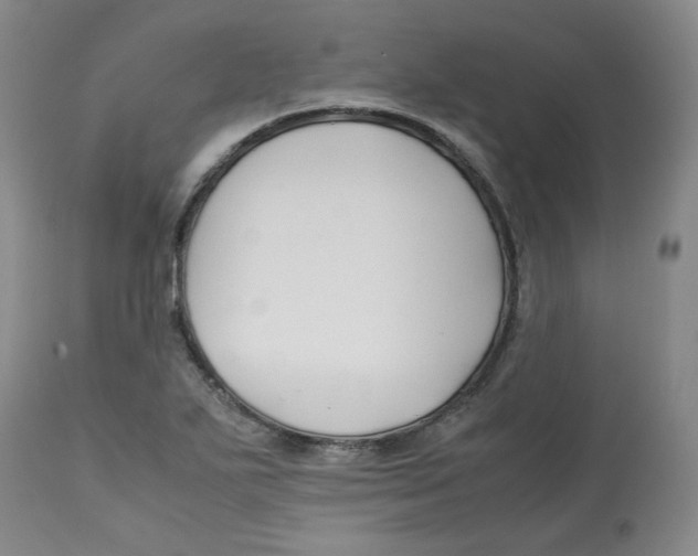 X0000113151271200910021454