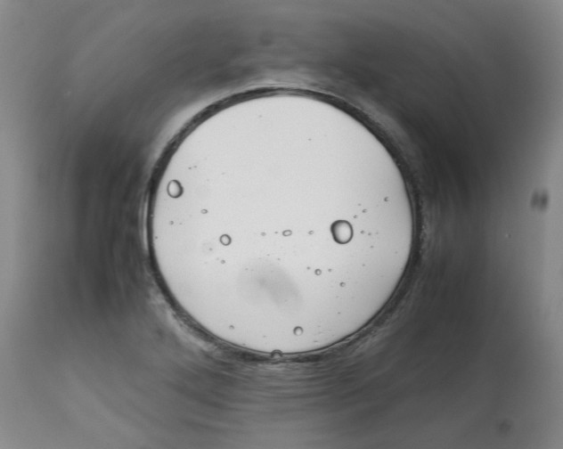 X0000113151272200910021454