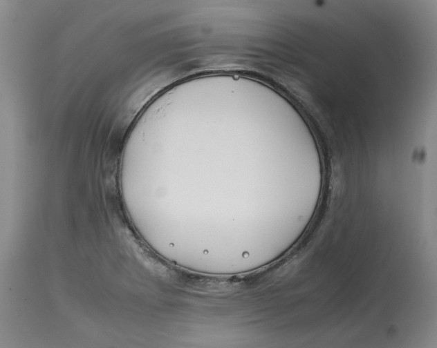 X0000113151273200910021454